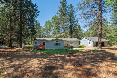 Outdoor Paradise! Imagine yourself here! A large, private, 2+ - photo 46