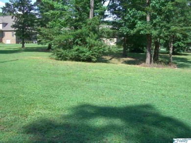 Lake Guntersville Lot For Sale in Scottsboro Alabama