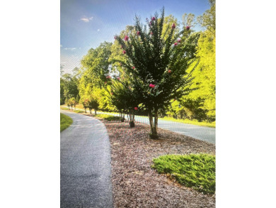 Lake Lot For Sale in Pittsville, Virginia