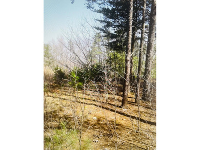 WATERFRONT 1.3 Acre lot in beautiful Eagle Pointe Shores gated - photo 3