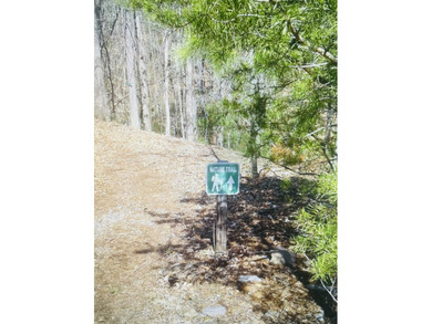 WATERFRONT 1.3 Acre lot in beautiful Eagle Pointe Shores gated - photo 4
