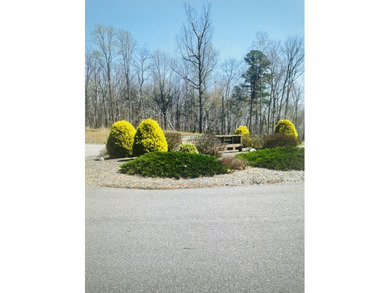 WATERFRONT 1.3 Acre lot in beautiful Eagle Pointe Shores gated - photo 5