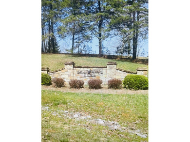 WATERFRONT 1.3 Acre lot in beautiful Eagle Pointe Shores gated - photo 6