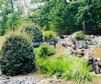 WATERFRONT 1.3 Acre lot in beautiful Eagle Pointe Shores gated - photo 9
