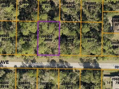 Northport Waterway Lakes and Canals Lot For Sale in North Port Florida