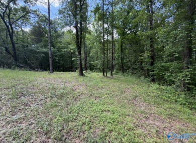 Additional listing photo 4