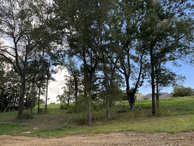 Newly resized lot in the popular gated subdivision of Wildbriar - photo 3