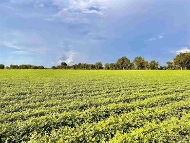 (private lake, pond, creek) Acreage For Sale in Jay Florida