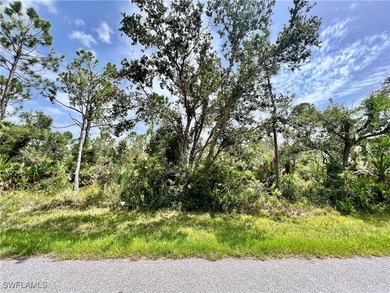 Port Charlotte Waterway Area Lot For Sale in Port Charlotte Florida