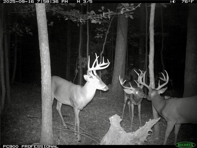 (private lake, pond, creek) Acreage For Sale in St Paul Arkansas