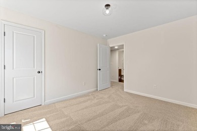 Completed new construction! Welcome to The Boxwood by Ironwood - photo 33