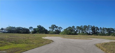 Rare chance to own a cul-de-sac lot! No through traffic! Located - photo 4