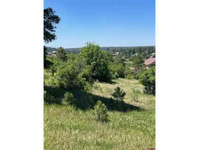 Hatcher Reservoir Lot For Sale in Pagosa Springs Colorado