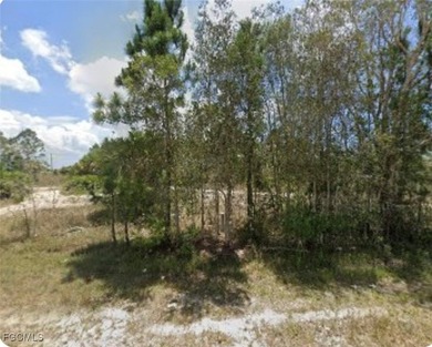 Lehigh Acres Area Lot For Sale in Lehigh Acres Florida