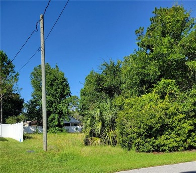 Build your dream home on this mostly cleared residential lot in - photo 3