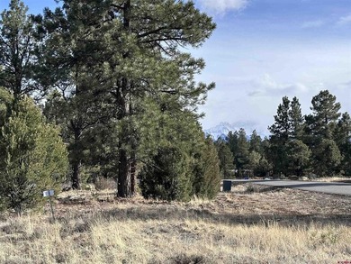 Leslie A Musselmann, Vision Real Estate Investments, C:,,: Don't - photo 1