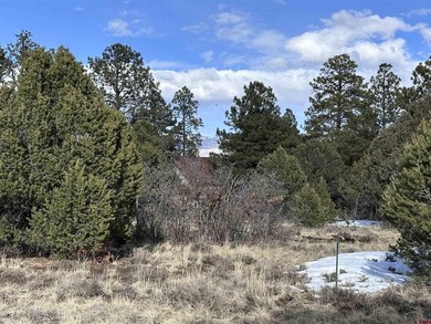 Leslie A Musselmann, Vision Real Estate Investments, C:,,: Don't - photo 3