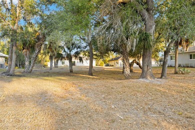 Rare opportunity to own a mostly cleared, ready-to-build lot in - photo 3