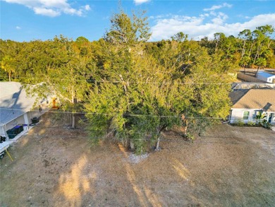 Rare opportunity to own a mostly cleared, ready-to-build lot in - photo 6