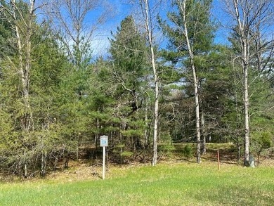 Town of Monroe Homesite/Campsite! Oh so close to Lake Petenwell - photo 3