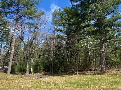 Town of Monroe Homesite/Campsite! Oh so close to Lake Petenwell - photo 4