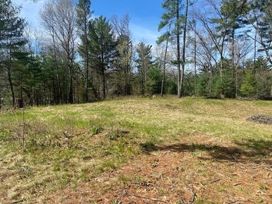 Town of Monroe Homesite/Campsite! Oh so close to Lake Petenwell - photo 5