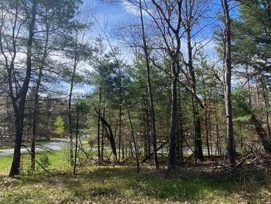 Town of Monroe Homesite/Campsite! Oh so close to Lake Petenwell - photo 6