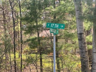 Town of Monroe Homesite/Campsite! Oh so close to Lake Petenwell - photo 7