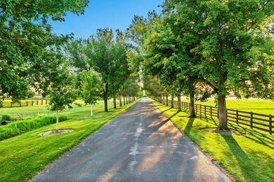 Parma Lodge and Stables is a remarkable lifestyle, equestrian - photo 12