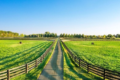 Parma Lodge and Stables is a remarkable lifestyle, equestrian - photo 13