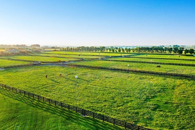 Parma Lodge and Stables is a remarkable lifestyle, equestrian - photo 14