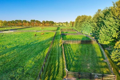 Parma Lodge and Stables is a remarkable lifestyle, equestrian - photo 15