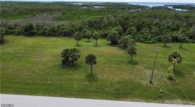 Burnt Store Lakes Area Lot For Sale in Punta Gorda Florida