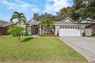 Lake Home For Sale in Brandon, Florida