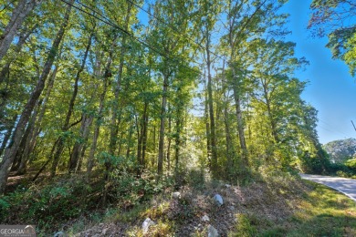 Lake Acreage For Sale in Villa Rica, Georgia