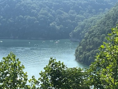 Dale Hollow Lake Lot Sale Pending in Byrdstown Tennessee