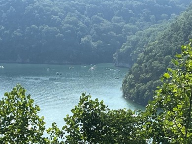 Lake Lot For Sale in Byrdstown, Tennessee