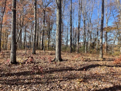 Premium Lake Cumberland Lake View Lot - photo 3