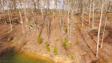 Lake Lot For Sale in Arley, Alabama