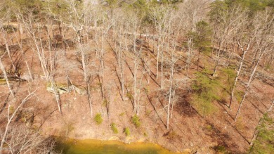 SMITH LAKE/ARLEY, Great building lot, Gentle slope, wooded - photo 2