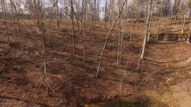 SMITH LAKE/ARLEY, Great building lot, Gentle slope, wooded - photo 2