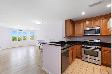 Welcome to resort-style living at The Harbors at Haverstraw! - photo 3
