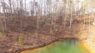 SMITH LAKE/ARLEY, Great building lot, Gentle slope, wooded - photo 3