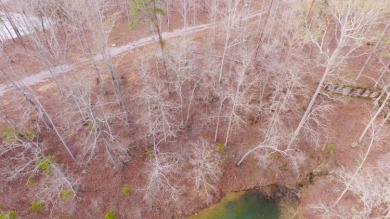 SMITH LAKE/ARLEY, Great building lot, Gentle slope, wooded - photo 4