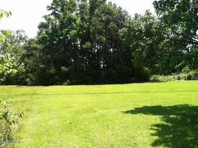 This beautifully groomed waterfront home site on Smith Creek is - photo 4