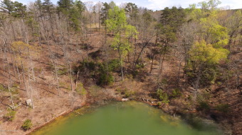 SMITH LAKE/ARLEY, Great building lot, Gentle slope, wooded - Lake Lot For Sale in Arley, Alabama