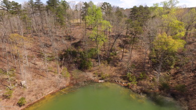 Lake Lot For Sale in Arley, Alabama