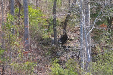 SMITH LAKE/ARLEY, Great building lot, Gentle slope, wooded - photo 3