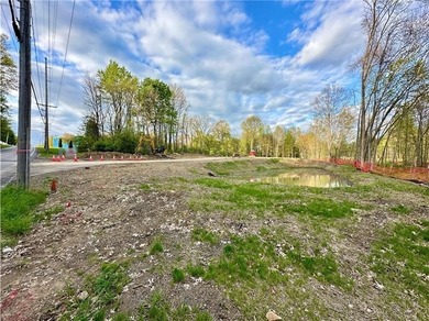 Welcome to Hearthstone Acres Phase III-an exclusive opportunity - photo 11