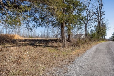 Attention real estate investors! Lot 59 on Backbone Road offers - photo 12